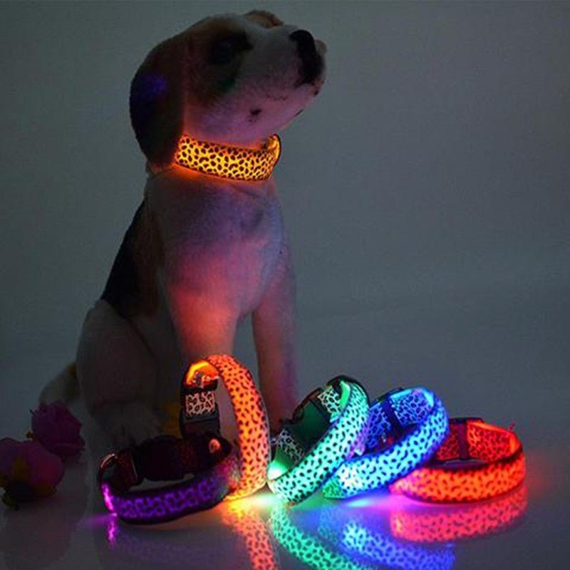 Leopard LED Dog Collar - Adjustable Light-Up Safety Collar, Battery or Rechargeable
