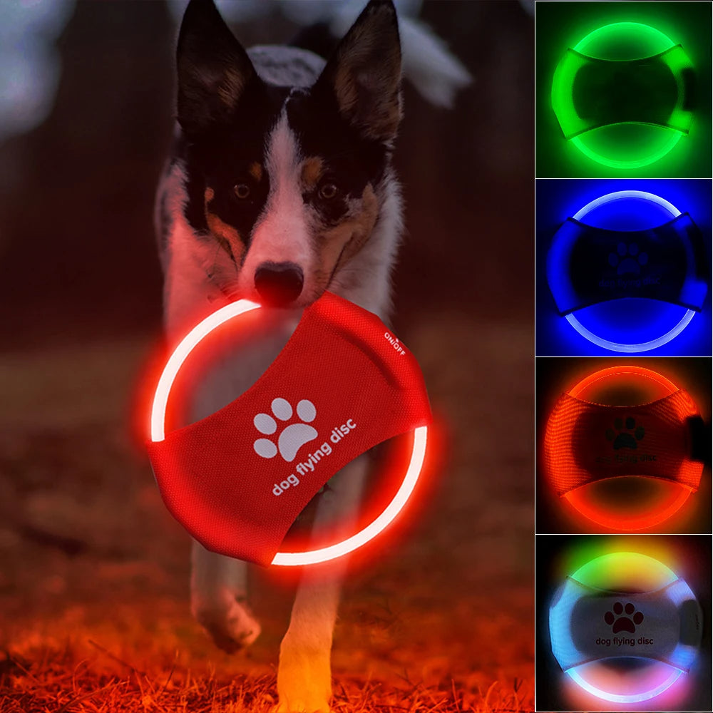 LED Light-Up Dog Frisbee - USB Rechargeable Glowing Flying Disc for Night Play