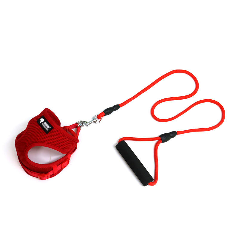 Dog Harness & Leash Set - Soft Mesh Harness with 120 cm Lead for Small Dogs