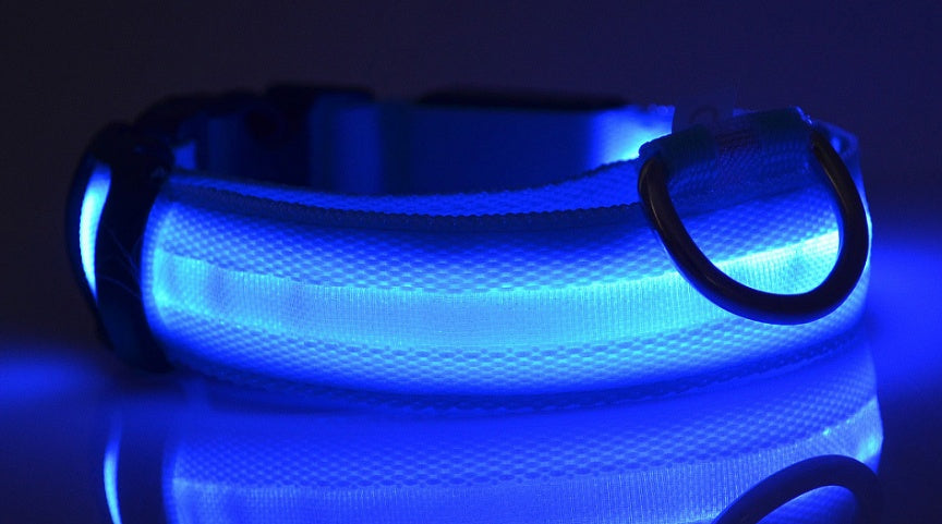 LED Light-Up Dog Collar - Flashing Glow in the Dark Safety Collar, USB or Battery