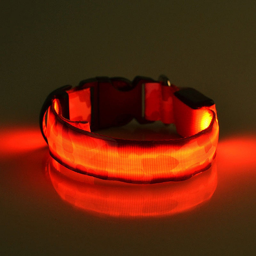 Camouflage LED Dog Collar - Light-Up Safety Collar, Battery or USB Charging