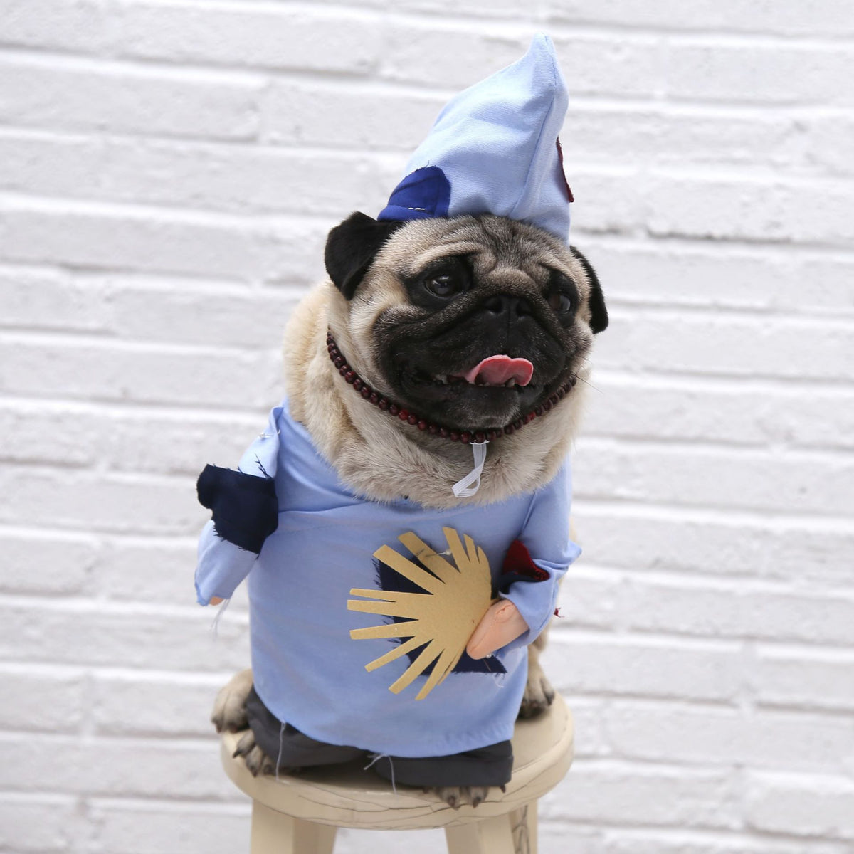 Spring & Autumn Pet Cat Costume - Cute Cat Clothes