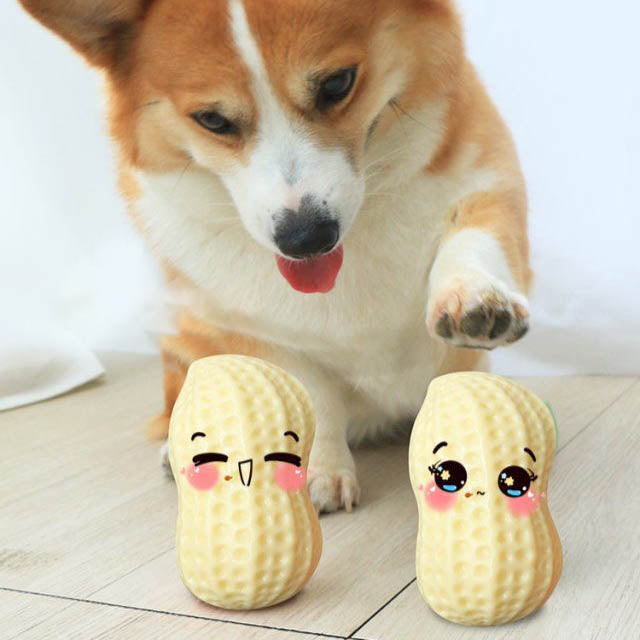 Squeaky Peanut Dog Chew Toy - Bite Resistant Natural Rubber Toy for Small & Medium Dogs