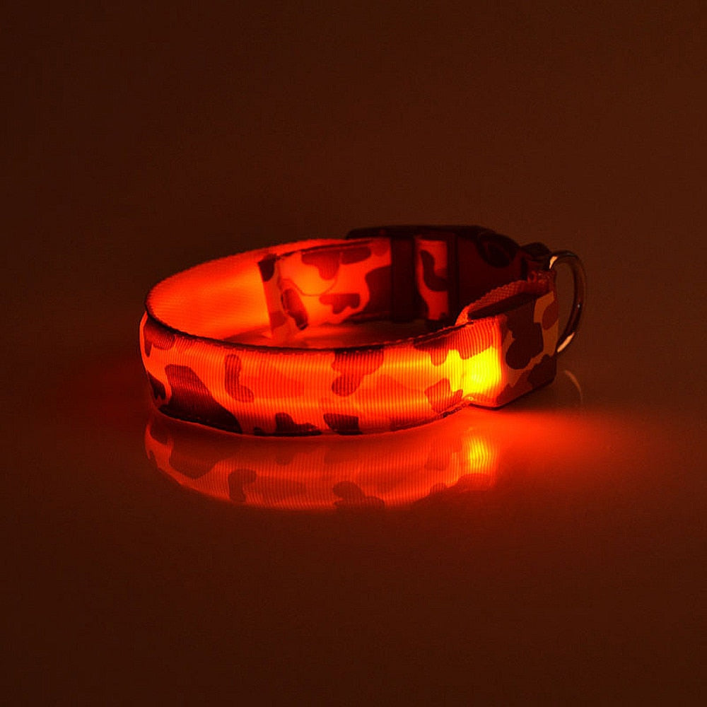 Camouflage LED Dog Collar - Light-Up Safety Collar, Battery or USB Charging