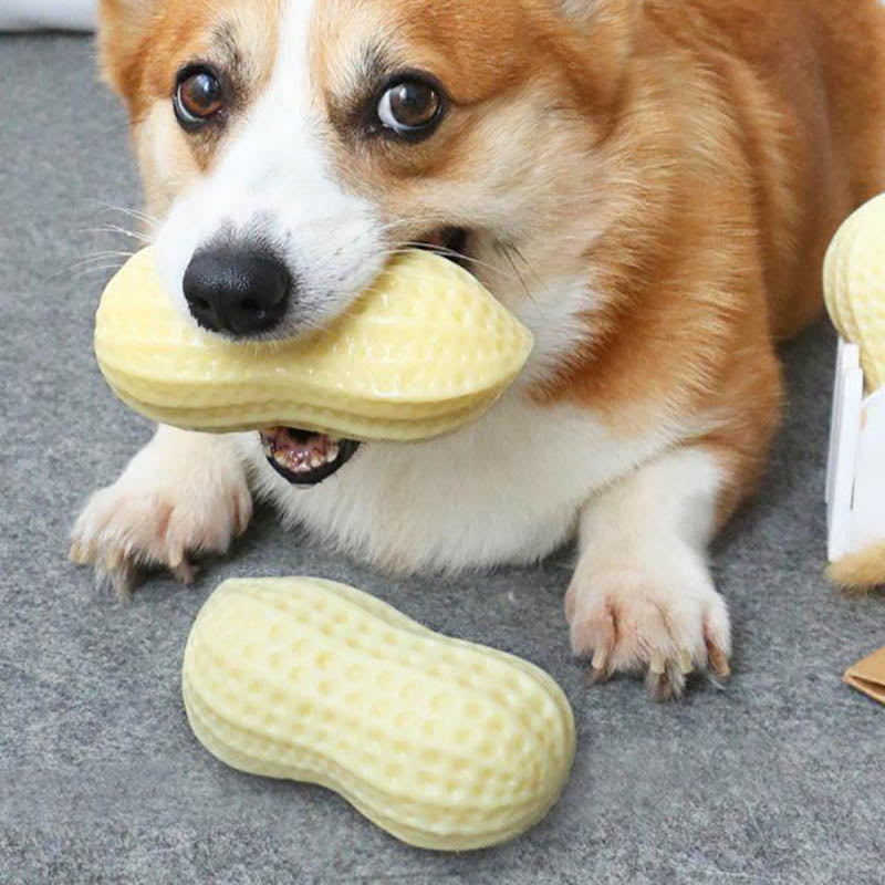 Squeaky Peanut Dog Chew Toy - Bite Resistant Natural Rubber Toy for Small & Medium Dogs