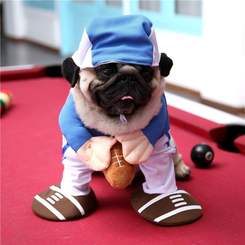 Spring & Autumn Pet Cat Costume - Cute Cat Clothes