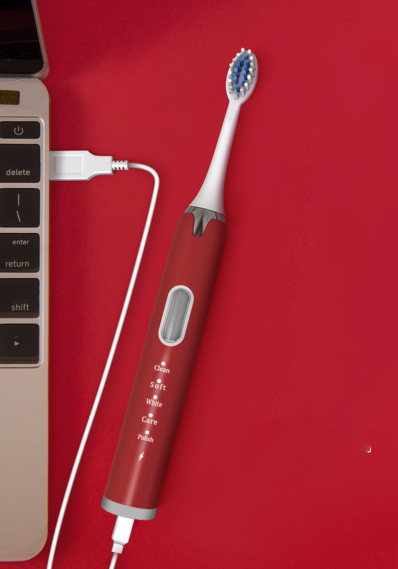 Ultrasonic Sonic Electric Toothbrush - USB Rechargeable with Brush Heads