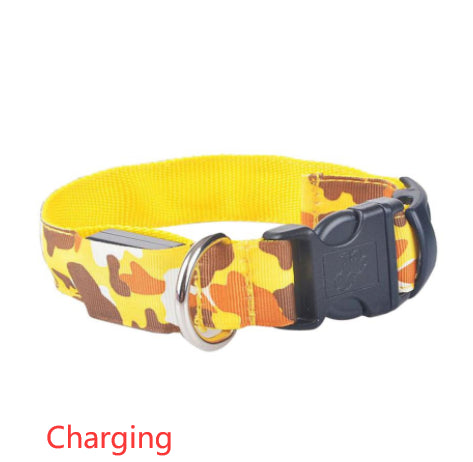 Camouflage LED Dog Collar - Light-Up Safety Collar, Battery or USB Charging