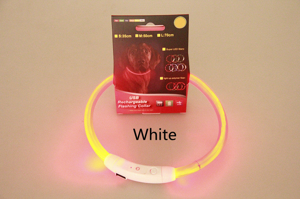 USB Rechargeable Light-Up Dog Collar - Glowing Fibre Optic Safety Necklace (Cut to Fit)