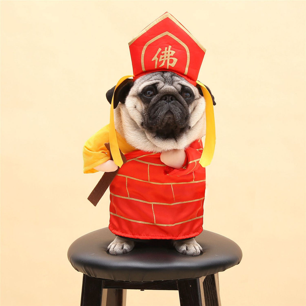 Spring & Autumn Pet Cat Costume - Cute Cat Clothes