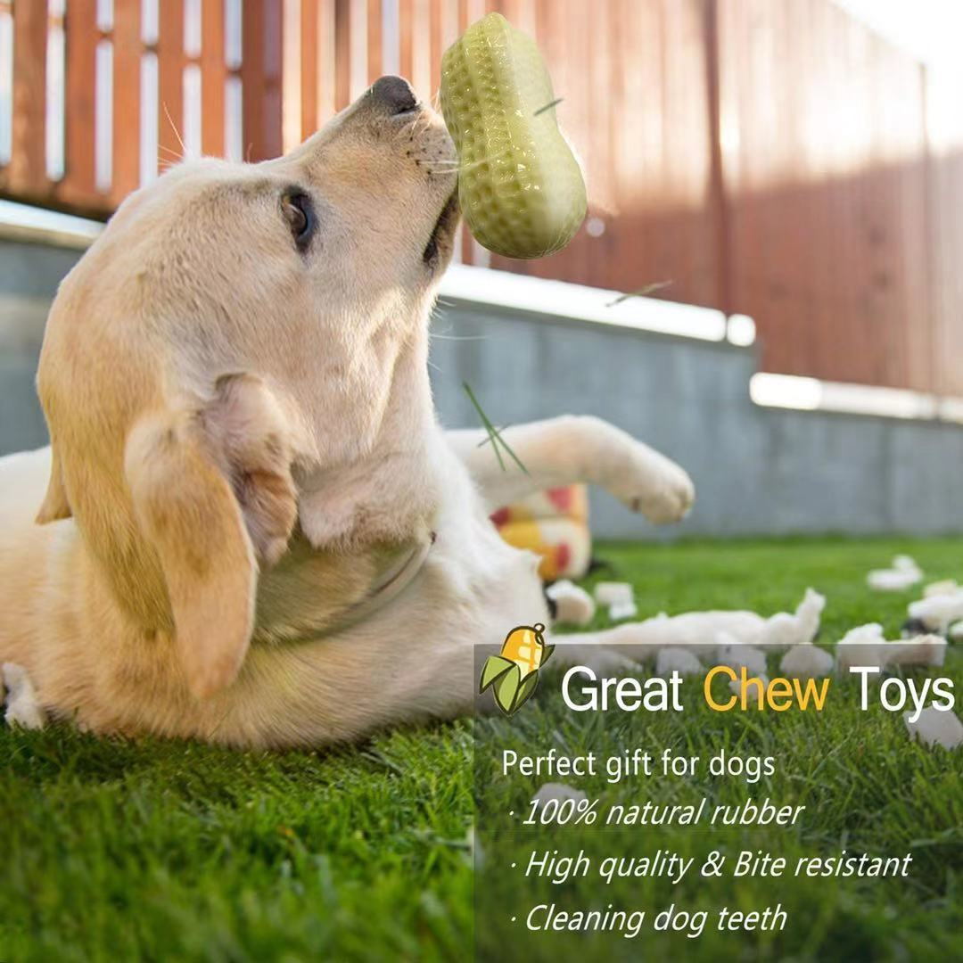 Squeaky Peanut Dog Chew Toy - Bite Resistant Natural Rubber Toy for Small & Medium Dogs