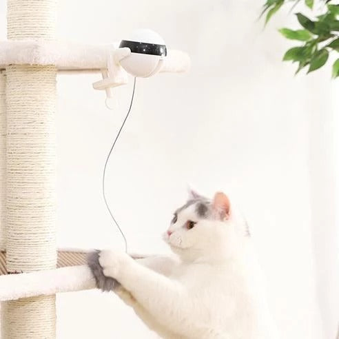Electronic Motion Cat Toy - Interactive Spinning Toy with Fur Ball Accessories