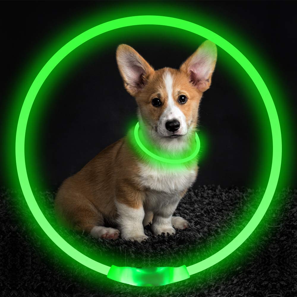 USB Rechargeable Light-Up Dog Collar - Glowing Fibre Optic Safety Necklace (Cut to Fit)