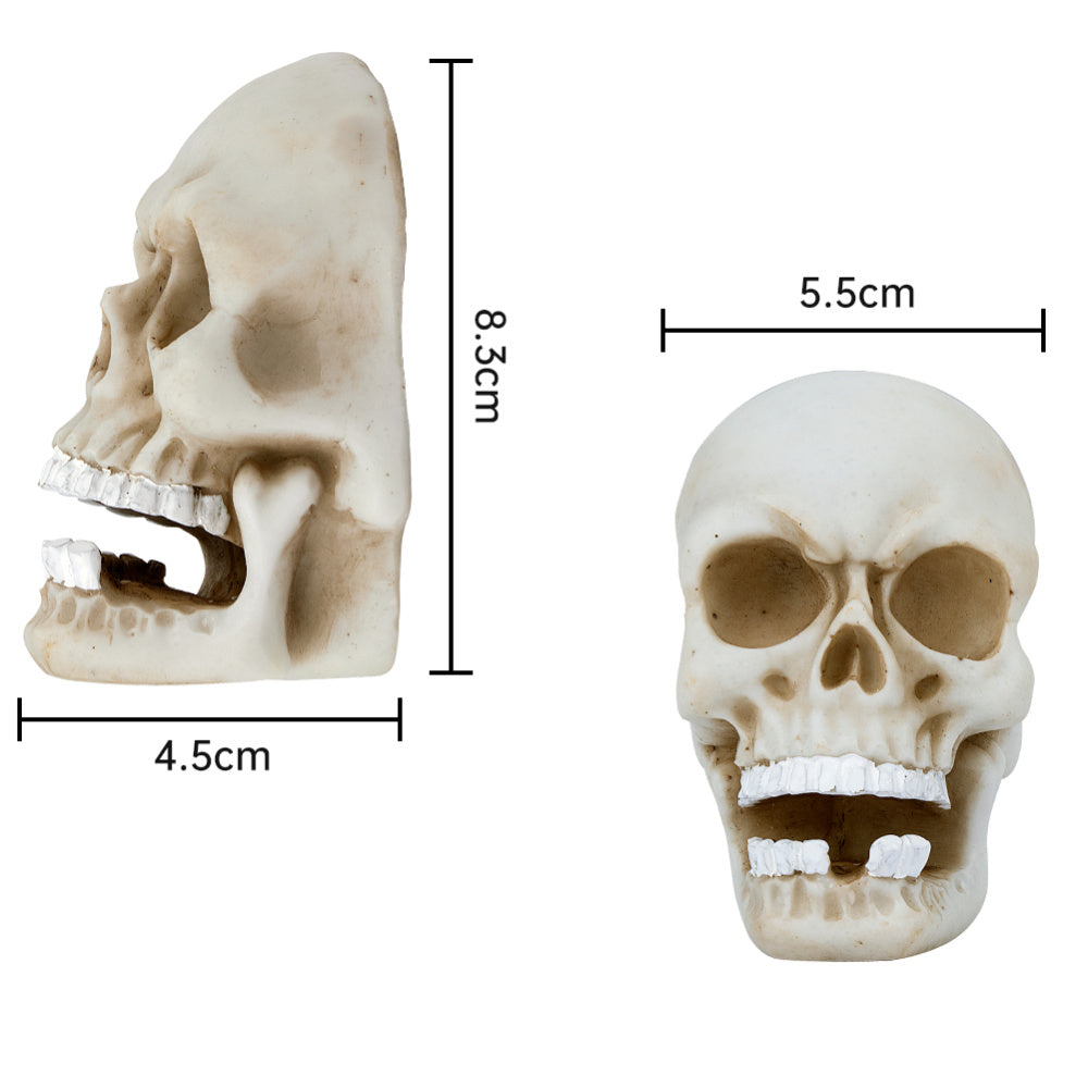 Halloween Skull Decoration