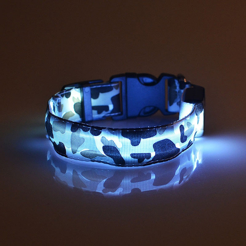 Camouflage LED Dog Collar - Light-Up Safety Collar, Battery or USB Charging