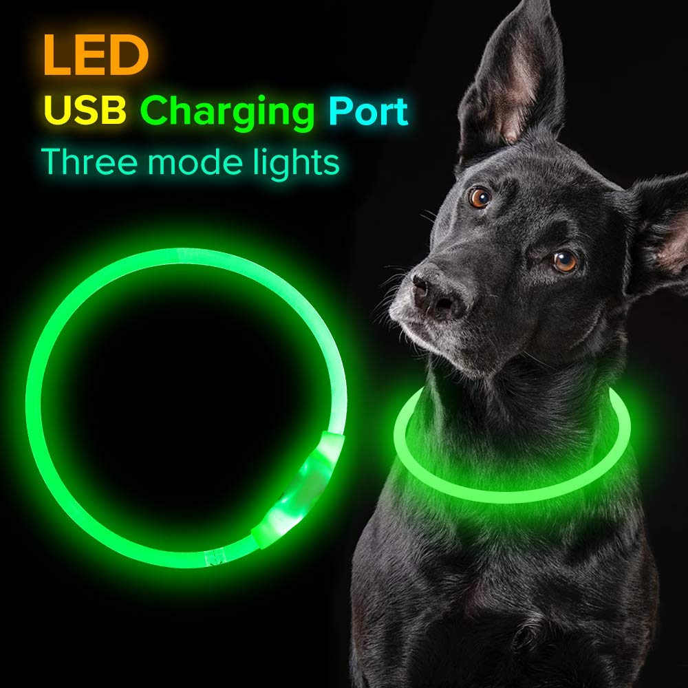 USB Rechargeable Light-Up Dog Collar - Glowing Fibre Optic Safety Necklace (Cut to Fit)