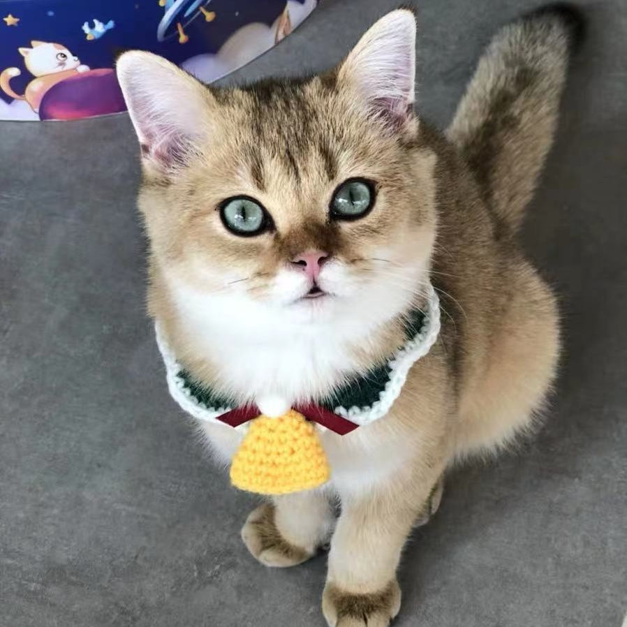 Hand-Woven Christmas Pet Collar - Cute Knitted Festive Collar for Cats & Small Dogs
