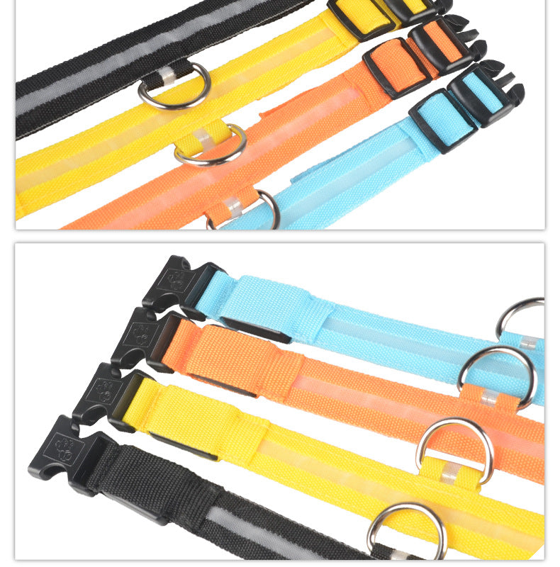 LED Light-Up Dog Collar - Flashing Glow in the Dark Safety Collar, USB or Battery