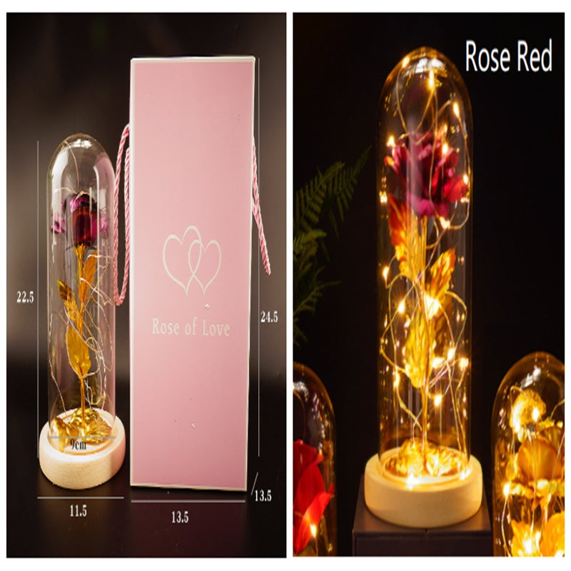 Little Prince Rose in Glass Dome - Eternal Flower LED Gift
