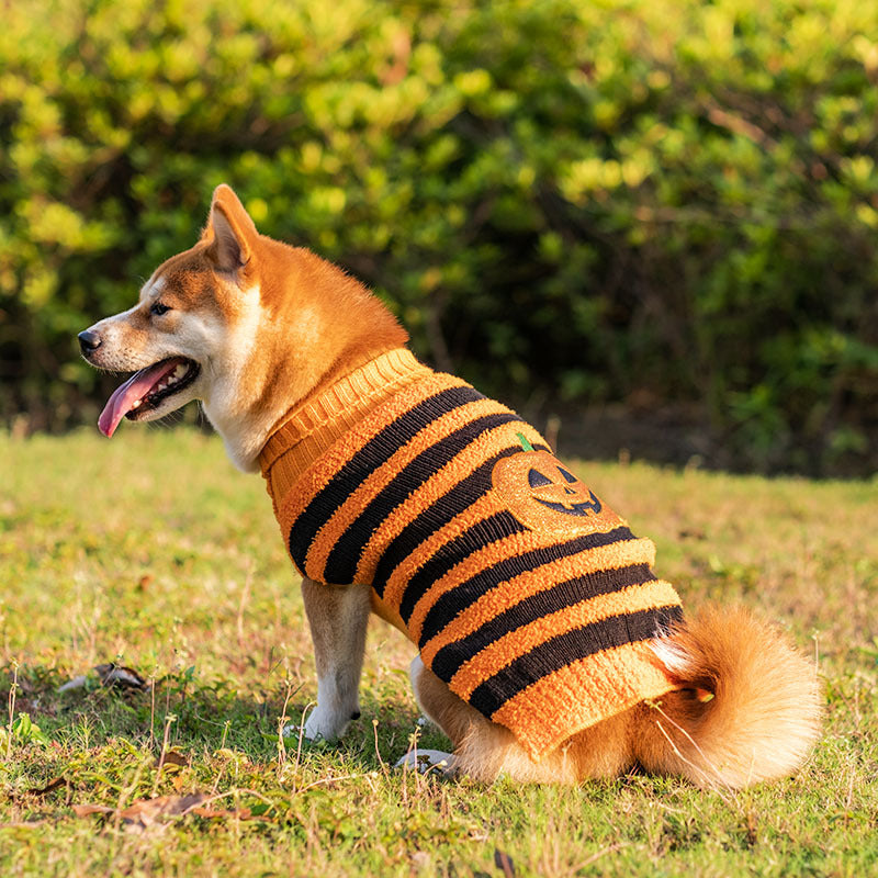 Halloween Dog Sweater - Warm Knit Pumpkin & Embroidery Pet Jumper
