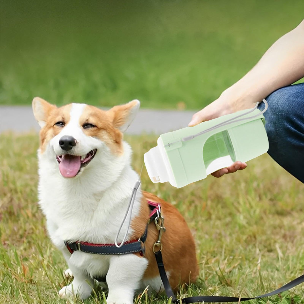 2-in-1 Portable Dog Water Bottle & Food Dispenser - Leakproof Travel Pet Bottle for Walks