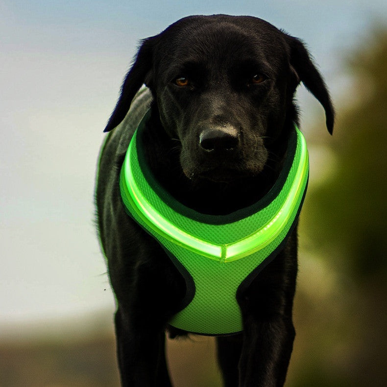 LED Dog Harness Vest - USB Rechargeable Light-Up Reflective Harness