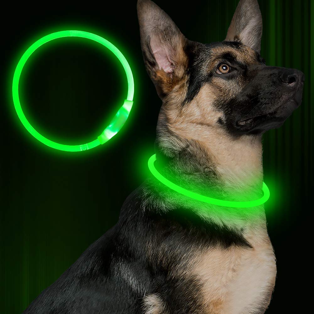 USB Rechargeable Light-Up Dog Collar - Glowing Fibre Optic Safety Necklace (Cut to Fit)