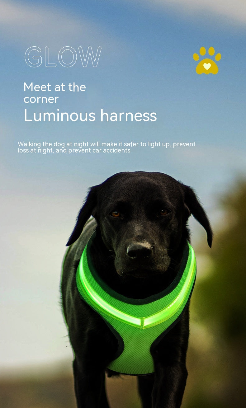 LED Dog Harness Vest - USB Rechargeable Light-Up Reflective Harness