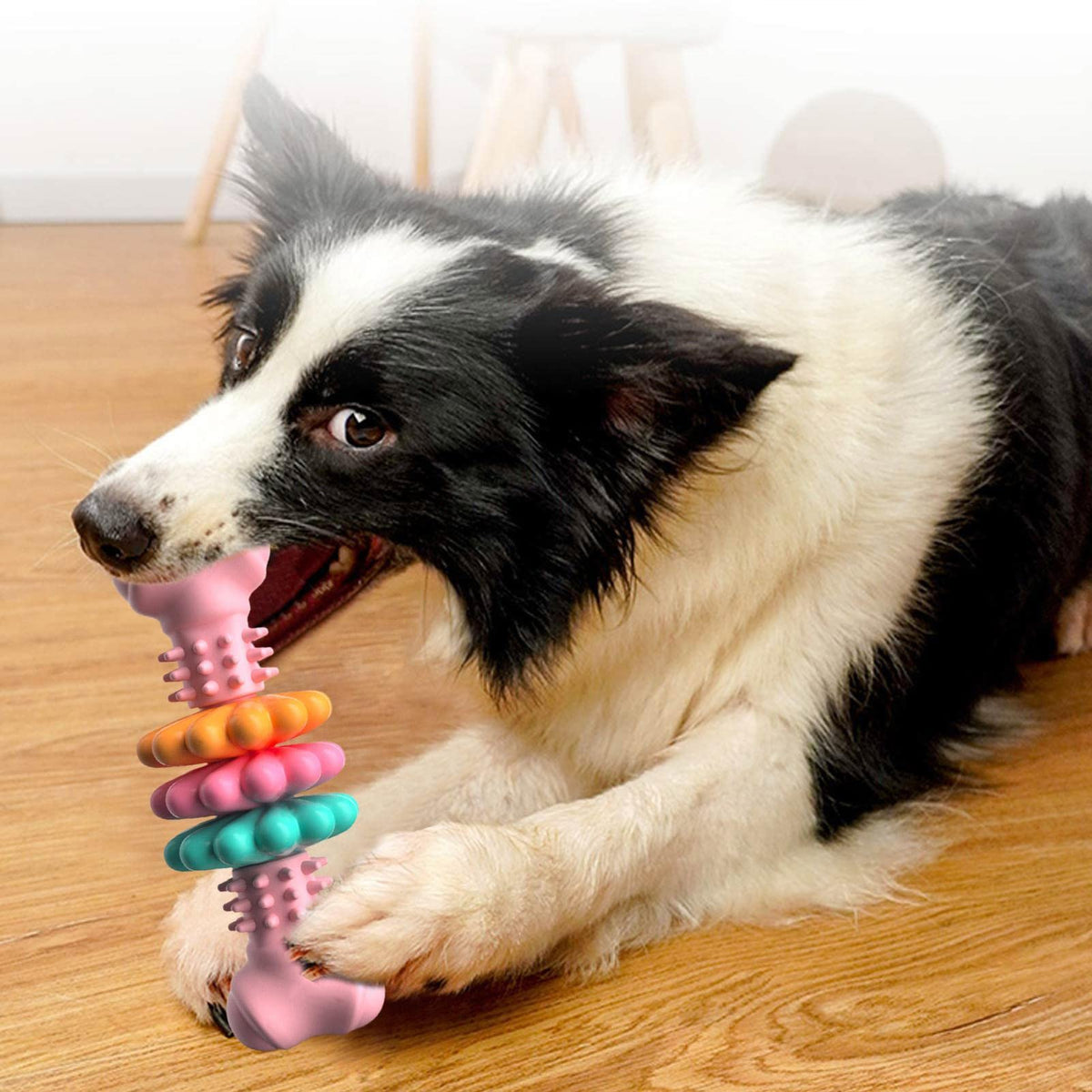 TPR Bone Dog Chew Toy