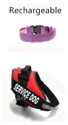 Leopard LED Dog Collar - Adjustable Light-Up Safety Collar, Battery or Rechargeable
