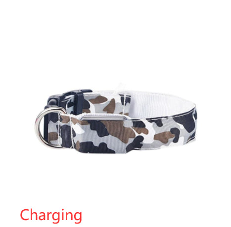 Camouflage LED Dog Collar - Light-Up Safety Collar, Battery or USB Charging