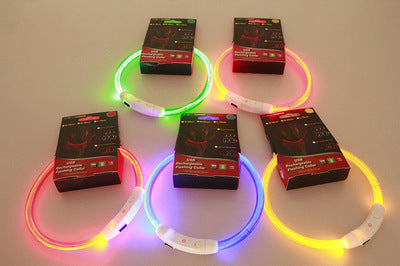 USB Rechargeable Light-Up Dog Collar - Glowing Fibre Optic Safety Necklace (Cut to Fit)