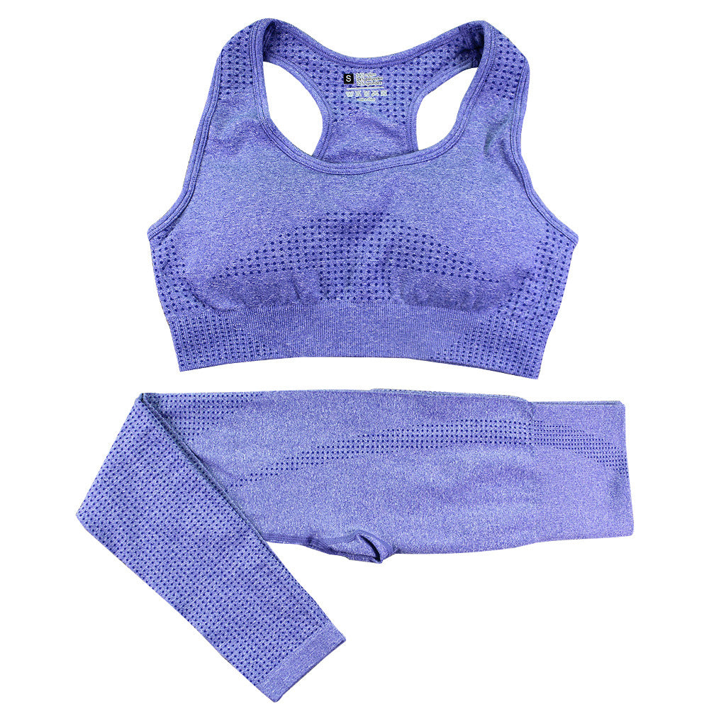 2PCS Seamless Yoga Set Women Tracksuit High Waist Leggings Workout