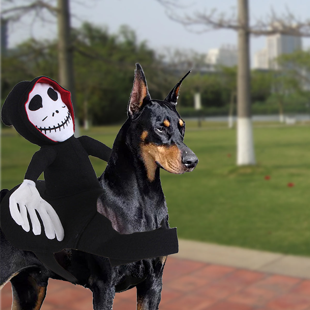 Halloween Goblin Rider Dog Costume - Funny Pet Cosplay Outfit for Dogs & Cats