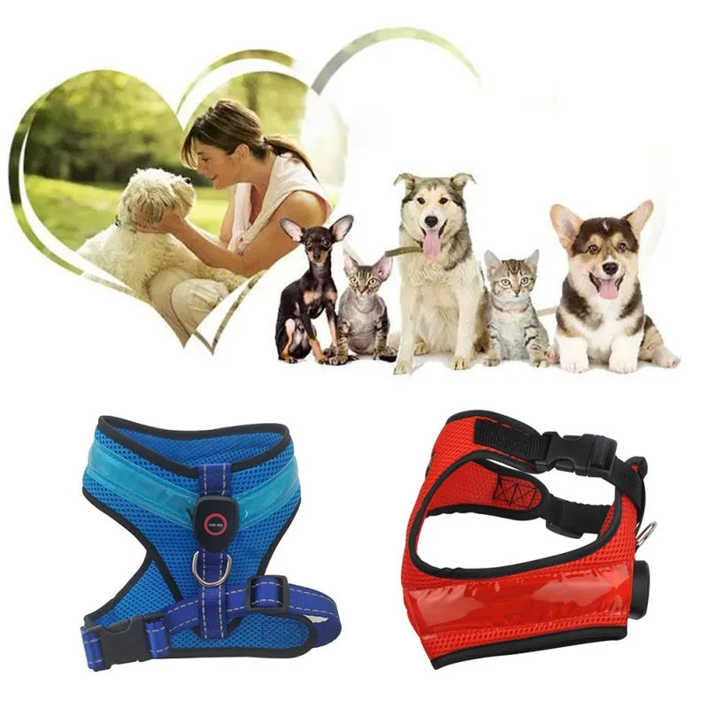 LED Dog Harness Vest - USB Rechargeable Light-Up Reflective Harness