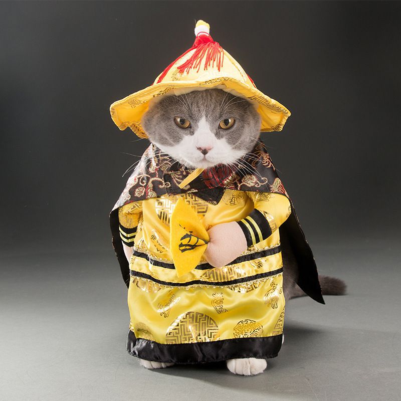 Spring & Autumn Pet Cat Costume - Cute Cat Clothes
