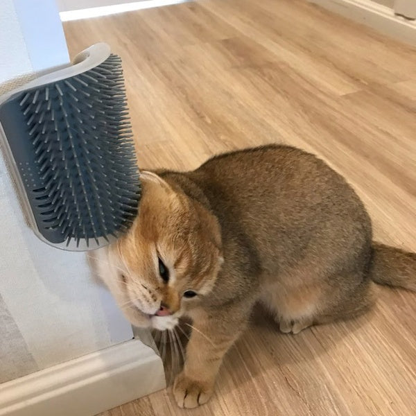 Cat Self-Grooming Corner Brush - Wall-Mounted Massage Comb for Cats