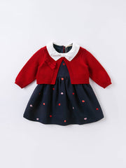 Plaid A-line autumn skirt for baby and young girls, available in pink or red and height-based sizes from 80 to 130 cm.